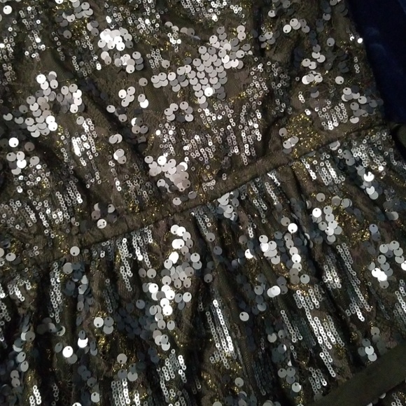 Express  Sequin  Dress - Picture 7 of 7